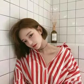 帝国玫瑰